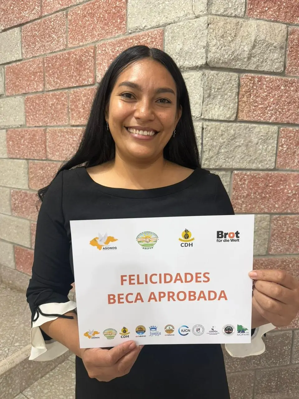 Labor comunitaria
